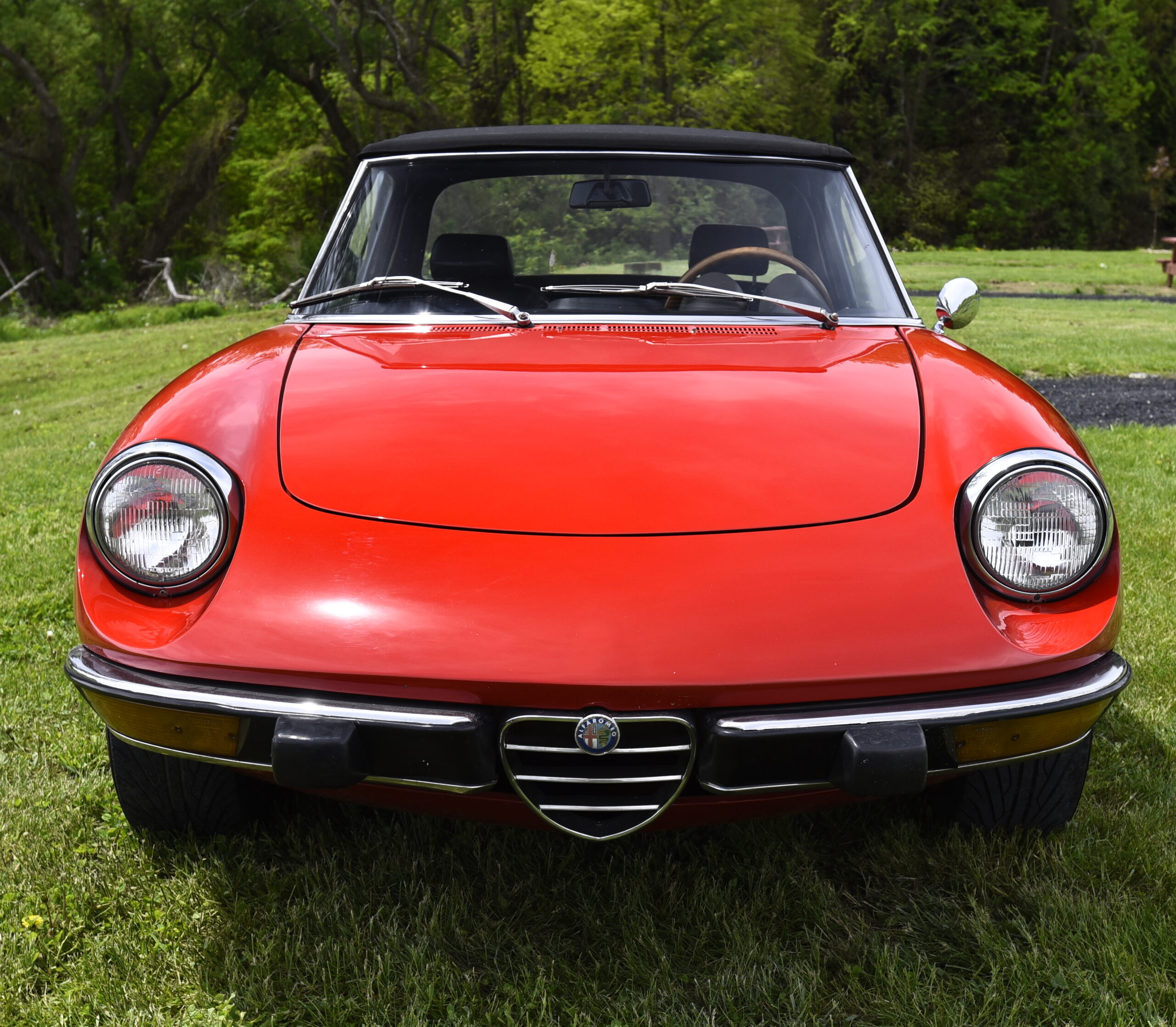 1973 Alfa Romeo Spider
